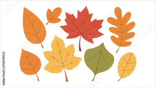 autumn leaves in various shapes and colors vector art isolated on white background