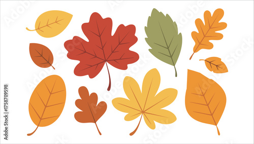 autumn leaves in various shapes and colors vector art isolated on white background
