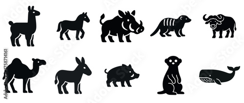 Silhouette icons of diverse animals including llama, camel, meerkat, whale, and buffalo