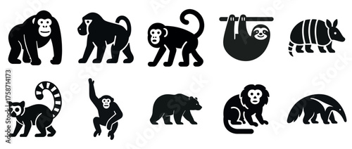Illustrated black silhouettes of various animals: gorilla, lemur, sloth, and more