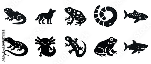 Silhouette icons of reptiles, amphibians, fish, and canine
