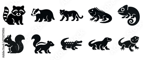 Silhouette icons of various animals including raccoon, squirrel, iguana, and chameleon