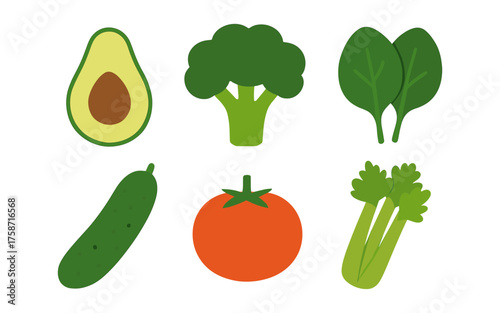 Colorful flat style vegetables set with avocado, broccoli, spinach, cucumber, tomato, and celery