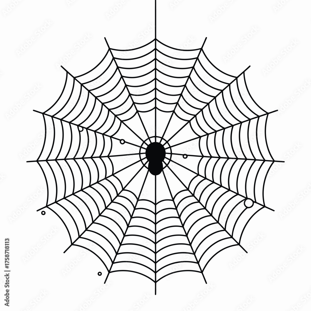 Fototapeta premium Spooky black spider web with a central spider illustration on white background
