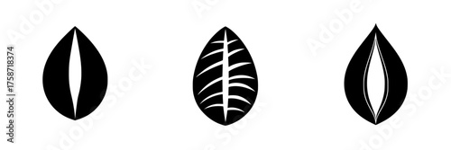 Three distinct leaf shapes displayed in a minimalist style emphasizing natural forms and patterns