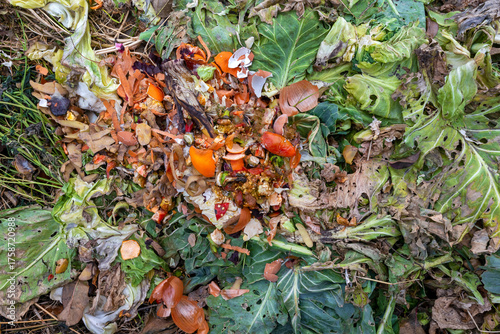 Food waste in a compost heap as fertilizer for the garden. Composting vegetable scraps 