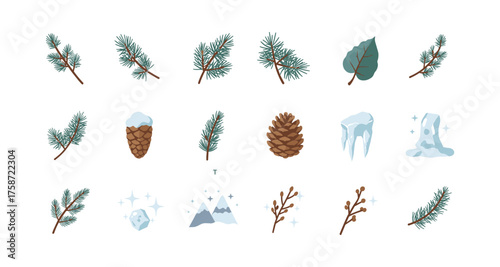 Winter nature elements collection: pine branches, cones, and snowy accents for seasonal design