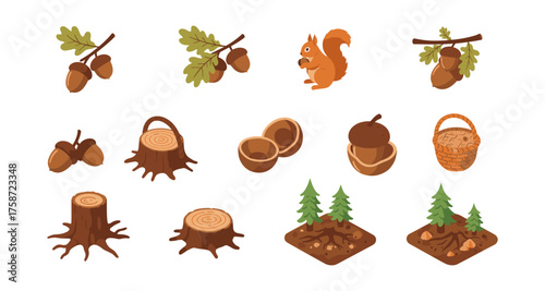 Isometric forest set: acorns, stumps, squirrel, and spruce trees