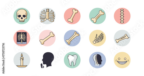 Medical icons collection: anatomy, skeleton, and health graphics