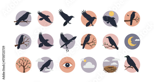 Crow silhouettes and icons with nature elements in a minimalist style
