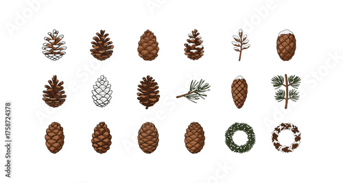 Assorted pine cones and evergreen elements for seasonal designs