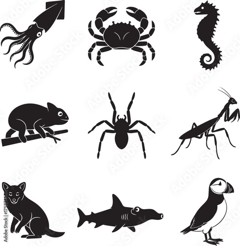 Animal and Marine Life Silhouette Set - Minimalist Black Vector Wildlife Icons