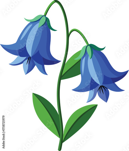 Two delicate blue bell shaped flowers bloom on a green stem with leaves