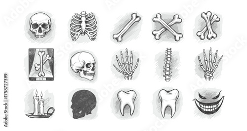 Hand drawn sketches of skeleton parts and spooky halloween elements