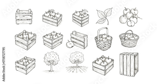 Hand drawn apple crates and trees with baskets and leaves in rustic style