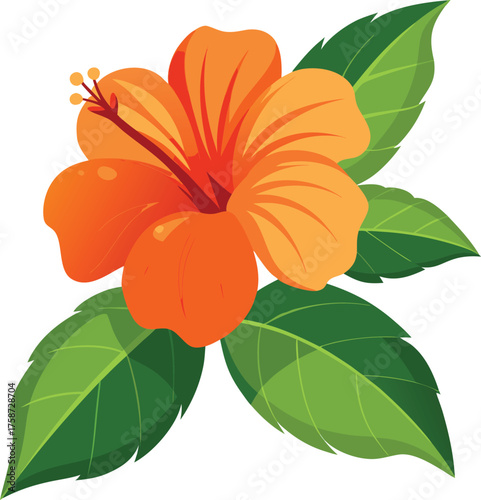 Vibrant orange hibiscus flower with green leaves illustration