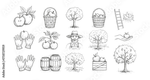 Hand-drawn apple harvest elements with farmer, trees, and tools