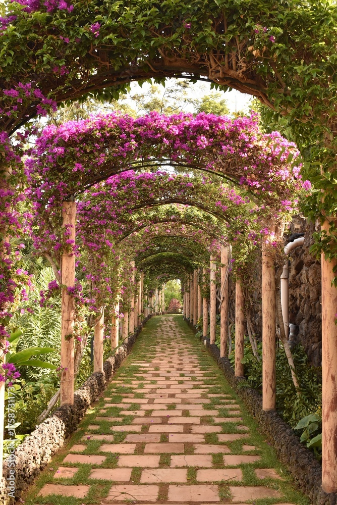 Obraz premium Pathway under a flower-covered arch in a garden. Romantic and peaceful scene, perfect for nature, landscape, and floral themes.