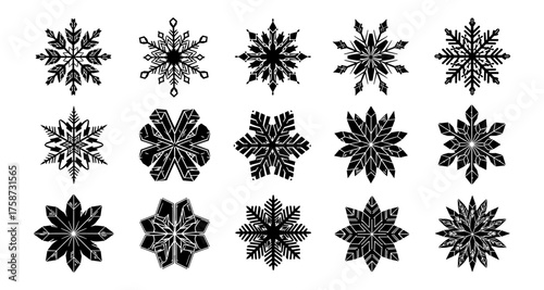 Set of detailed black snowflakes on white background for winter designs