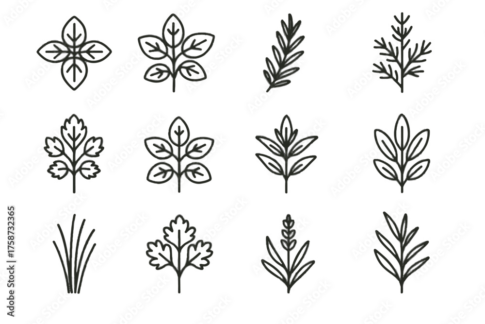 Fototapeta premium Oregano plant tarragon branch leaves chives herb gardening icon vector rosemary sprig