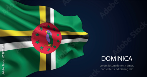 Dominica national flag with elegant folds on dark background