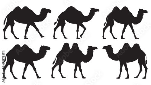 Collection of diverse camel silhouettes illustrating desert wildlife in various walking poses