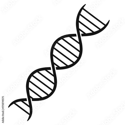 DNA strand, minimal style, black and white vector illustration