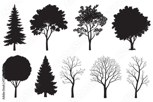 Diverse Silhouette Trees Set Collection of Black and White Arboreal Shapes