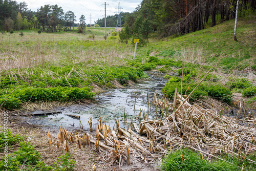 Polluted murky stream in a rural ditch, a telltale sign of a sewer pipe bursting. Environmental blight in a desolate field, water tainted by urban runoff