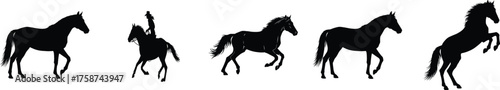A set of five black horse silhouettes in various poses, including walking, rearing, and with a rider, isolated on a white background.