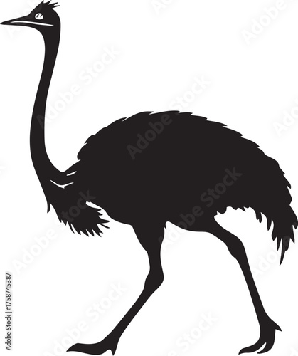 Ostrich Silhouette Vector | Black Flightless Bird Illustration on White Background