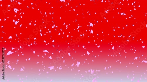 Bunch of pink cherry petals falling down from top to bottom on red gradient background while the camera moving backward. Abstract background with a scene of Spring time in Japan.