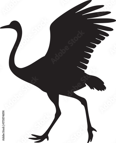 Ostrich Silhouette Vector | Black Flightless Bird Illustration on White Background