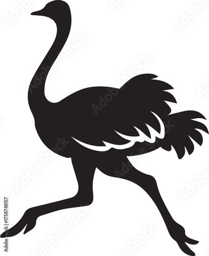 Ostrich Silhouette Vector | Black Flightless Bird Illustration on White Background