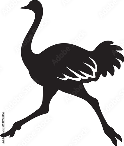 Ostrich Silhouette Vector | Black Flightless Bird Illustration on White Background