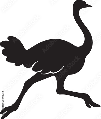 Ostrich Silhouette Vector | Black Flightless Bird Illustration on White Background