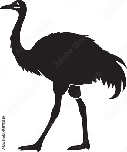 Ostrich Silhouette Vector | Black Flightless Bird Illustration on White Background