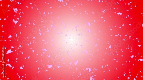 Bunch of pink cherry petals falling down from top to bottom on red gradient background while the camera moving backward. Abstract background with a scene of Spring time in Japan.