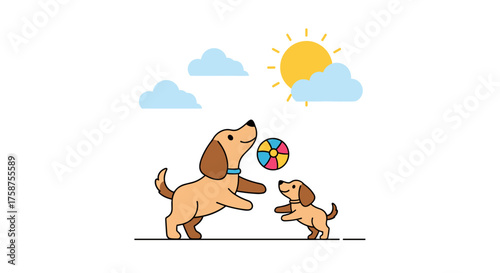 Two playful dogs enjoy a sunny day outdoors playing fetch with a colorful ball.