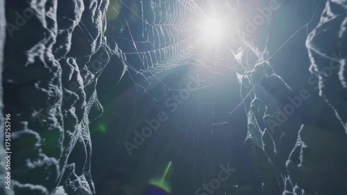 Night Spiderweb glistening cinematic halloween video