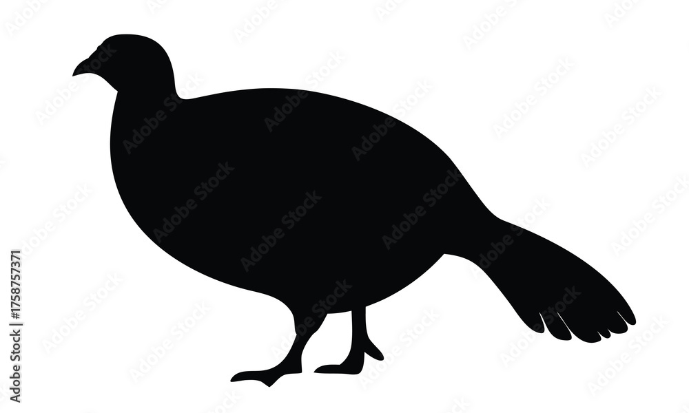Fototapeta premium Pheasant silhouette, Pheasant black vector illustration