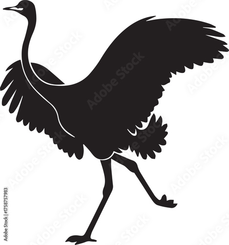 Ostrich Silhouette Vector | Black Flightless Bird Illustration on White Background