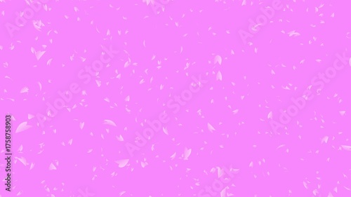Bunch of pink cherry petals falling down from top to bottom on pale pink background while the camera moving backward. Abstract background with a scene of Spring time in Japan.