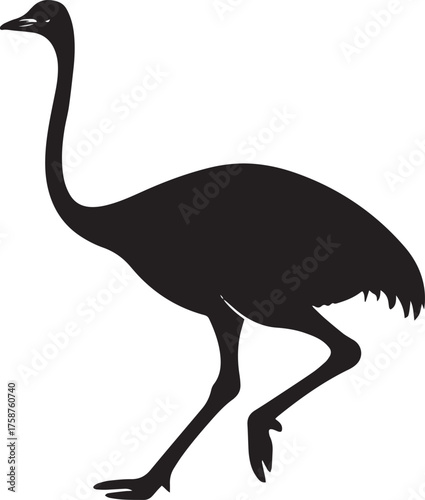 Ostrich Silhouette Vector | Black Flightless Bird Illustration on White Background