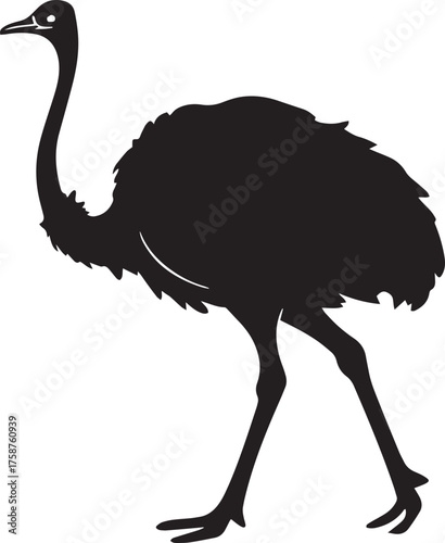 Ostrich Silhouette Vector | Black Flightless Bird Illustration on White Background