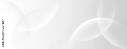 A white background with a smooth, gradient texture. The background features overlapping translucent circles, enhancing the white color. Minimal abstract circles vector gradient background