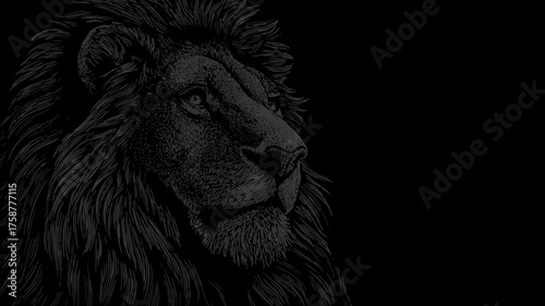 Majestic black lion illustration with an intense gaze, powerful profile on a dark background, representing strength and wild nature.