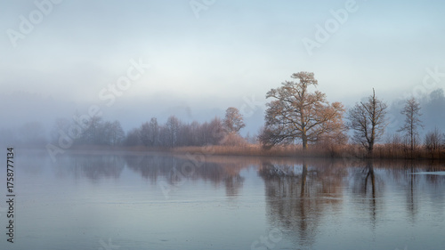 Misty morning, a calm dreamy scene. Trees and lake, nature photography taken in February. Swedish winter landscape.