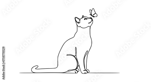 Fototapeta Single line drawing of a cat looking at a butterfly, minimalist nature art