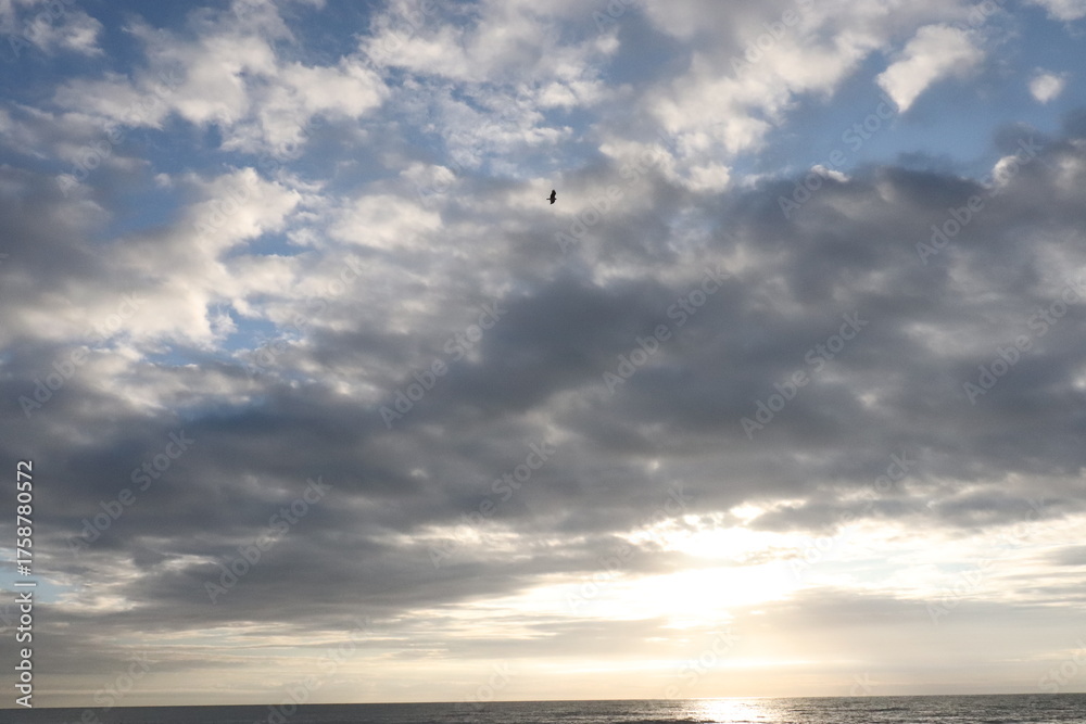 Fototapeta premium Sunrise Hidden Behind Clouds with Bright Horizon Light and Soaring Bird over Ocean